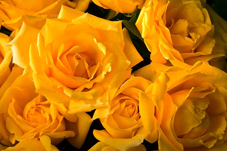 Happy Mothers Day!