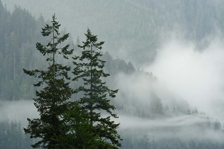 Misty Mountains