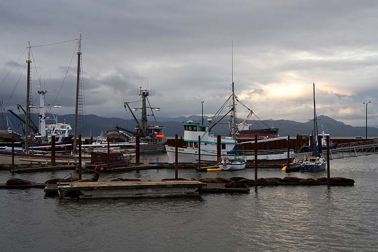 Astoria Harbour