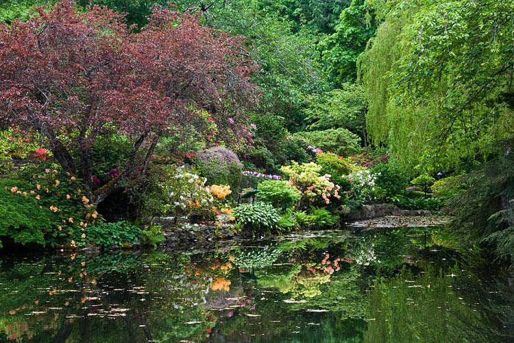 Reflecting Pond