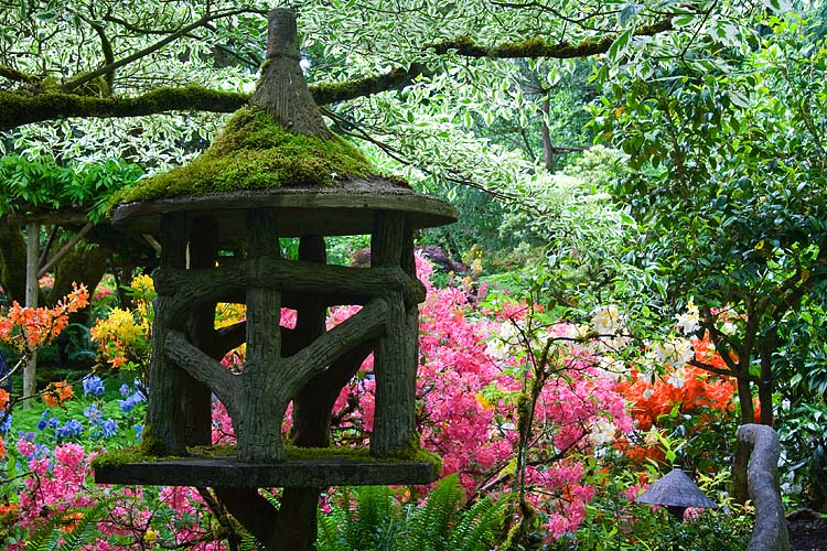 Japanese Garden