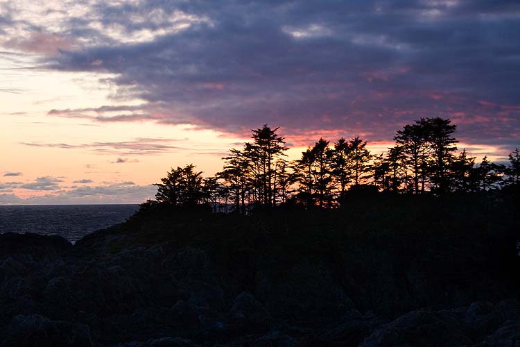 Sunset, Wild Pacific Trail