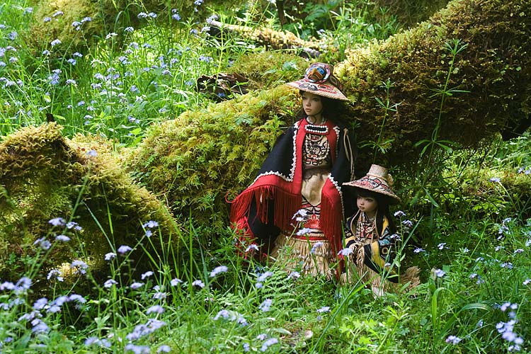 In the Moss & Forget-Me-Nots