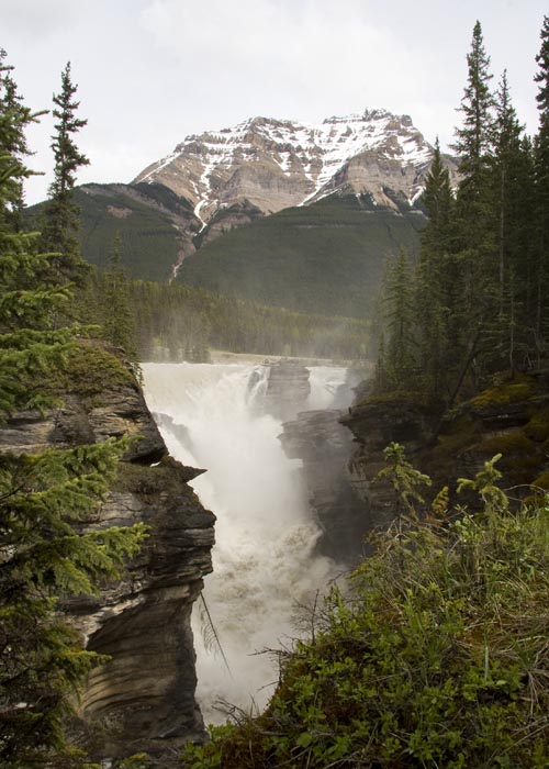 Athabasca Falls