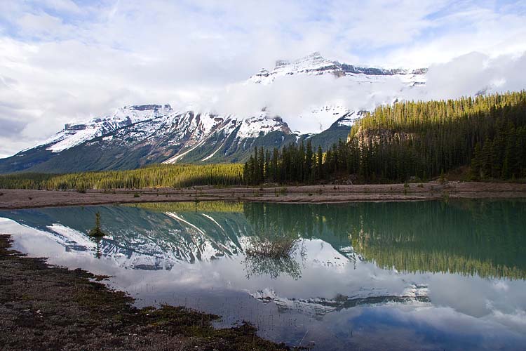Morning Reflections
