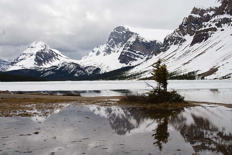 Bow Lake
