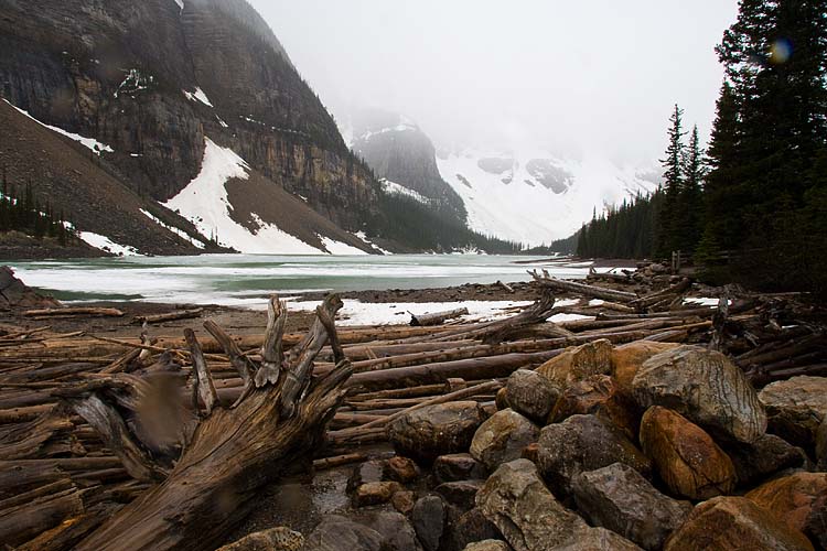 Driftwood, Moraine Lake