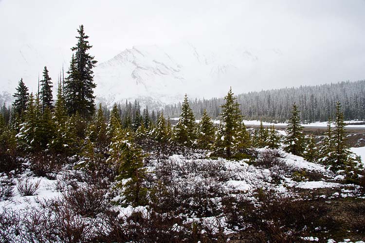 Snowing 
