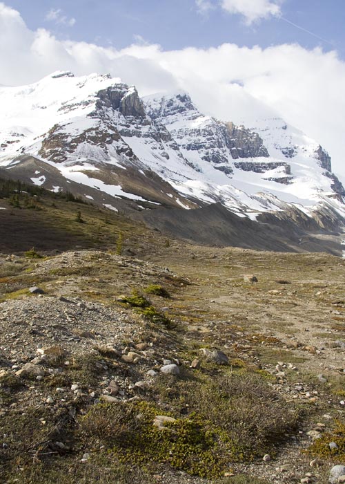 Mount Athabasca