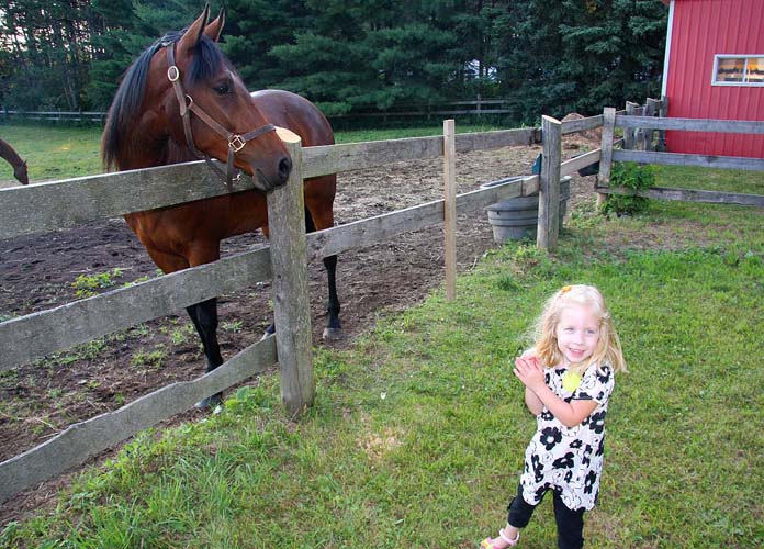 "It's a Horse"