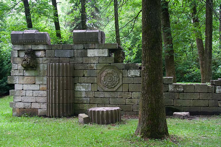Wall in the Woods