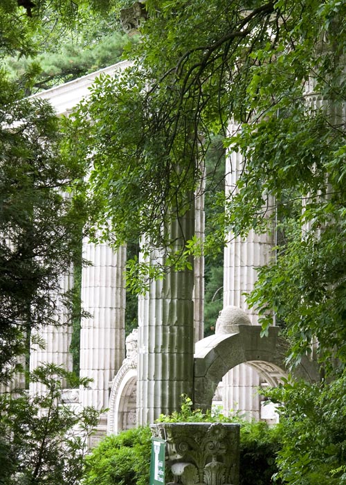 Pillars in the Trees