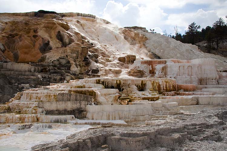 Mammoth Hot Springs
