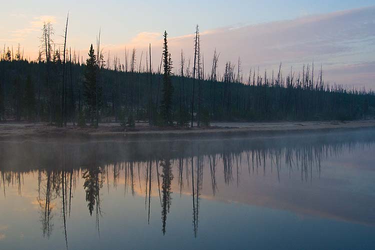 Dawn along the Lewis River