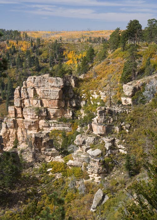 Autumn on the North Rim