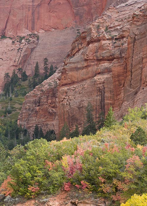 Autumn in Kolob Canyon