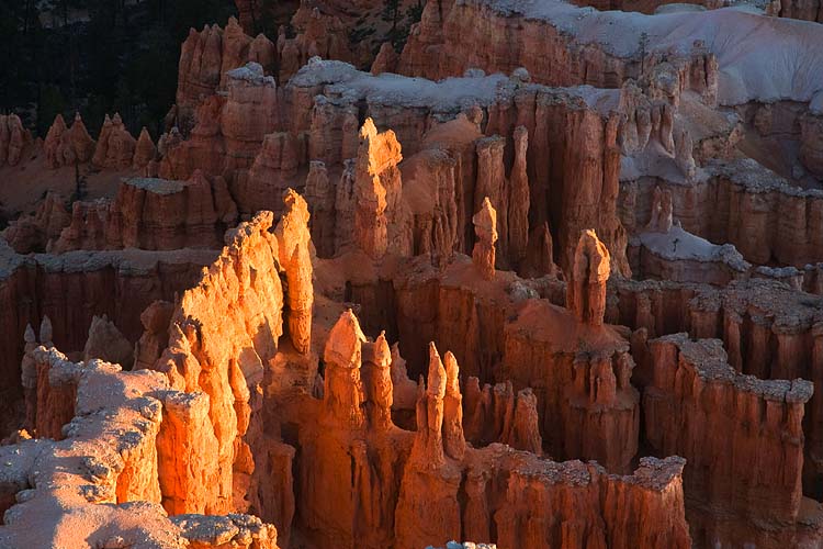 Sunlit Spires in the Valley Below