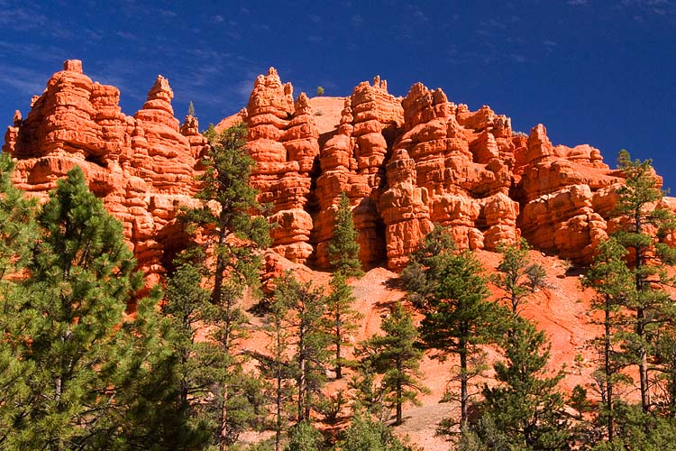 Red Canyon