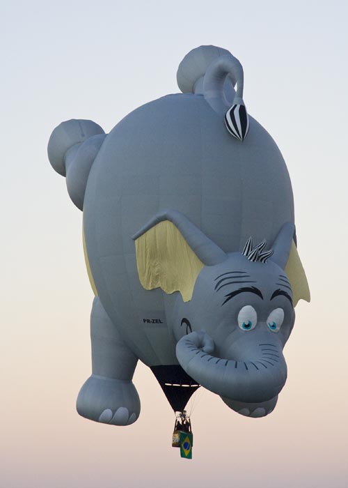 There Goes an Elephant!