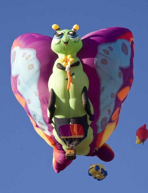 Big Butterfly Overhead