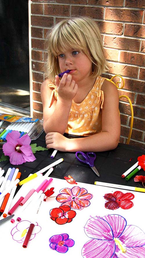 Rachel Ponders a Rose of Sharon Flower