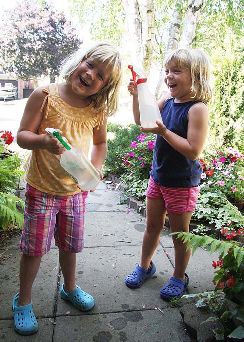 Watering the Plants