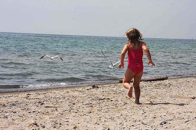 Rachel Chasing Sea Gulls