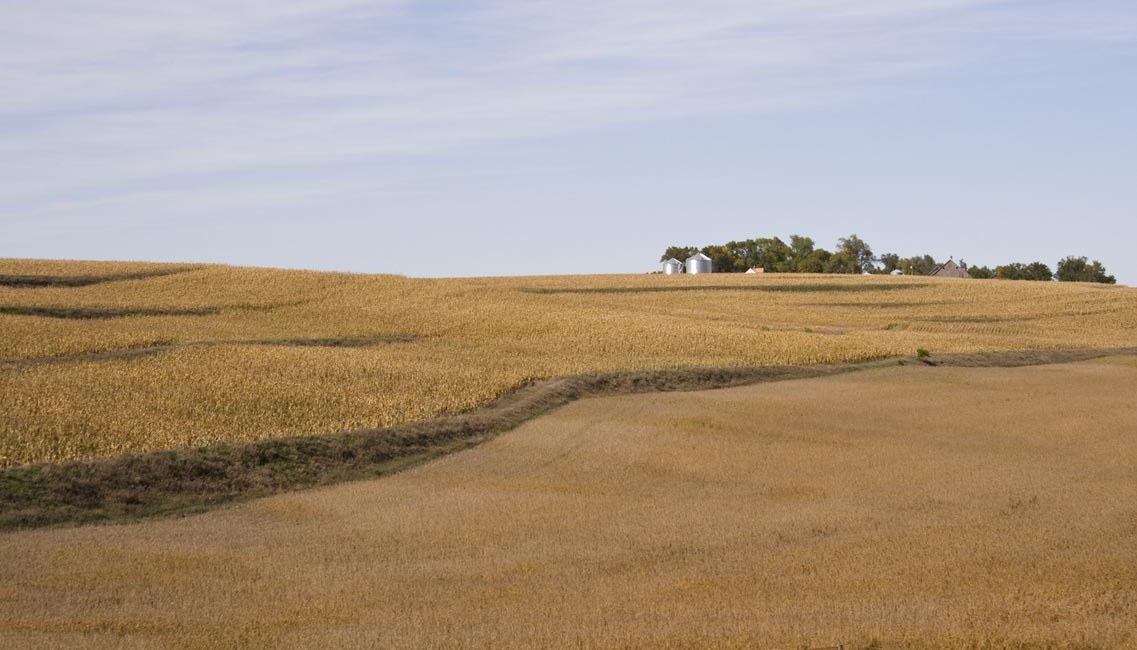 Rolling Farmland of Iowa
