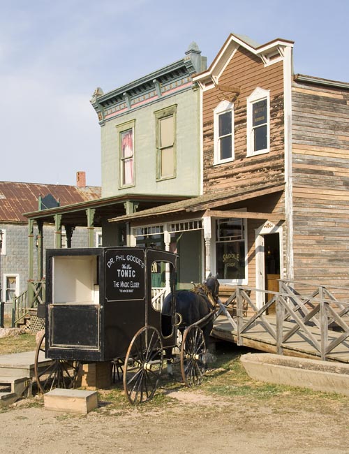 Tonic Delivery at the Saddle Shop