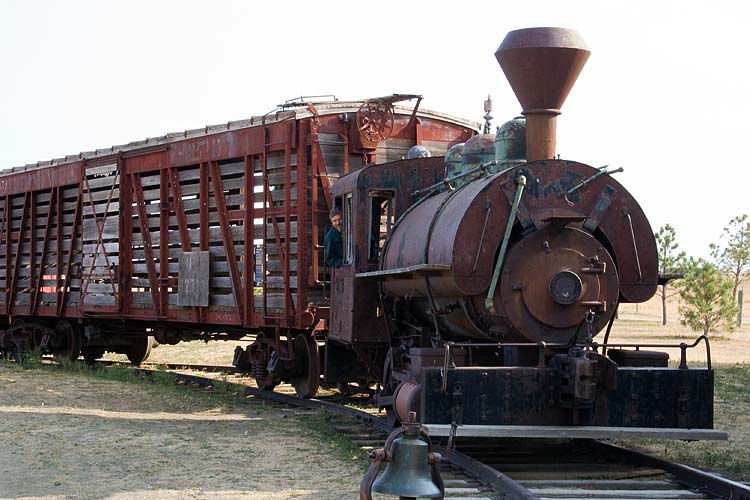 Steam Locomotive and Cattle Cars