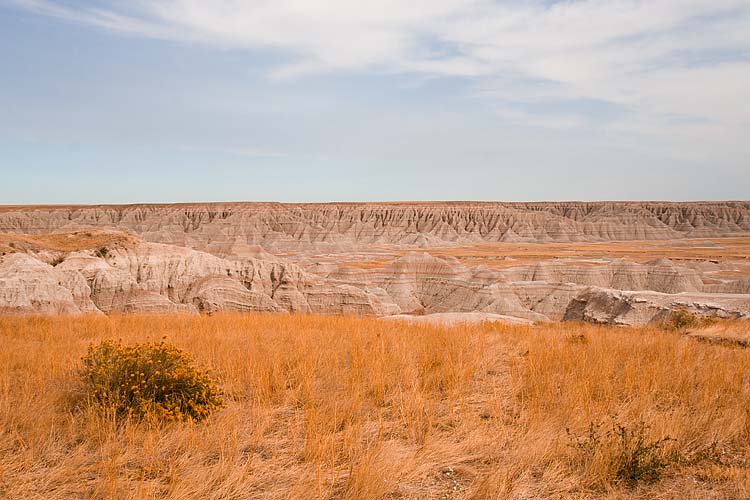 Welcome to the Badlands