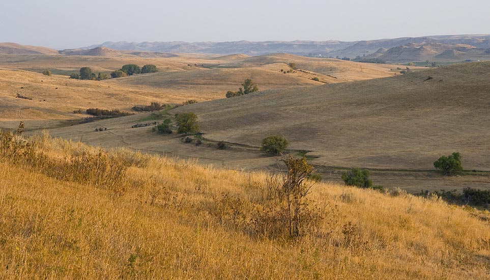 Dawn near Buffalo, Wyoming