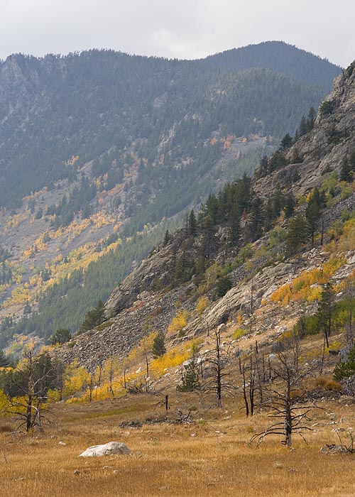 A Bit of Autumn Colour