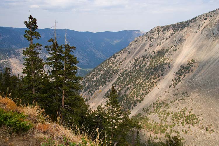 Climbing Ever Higher