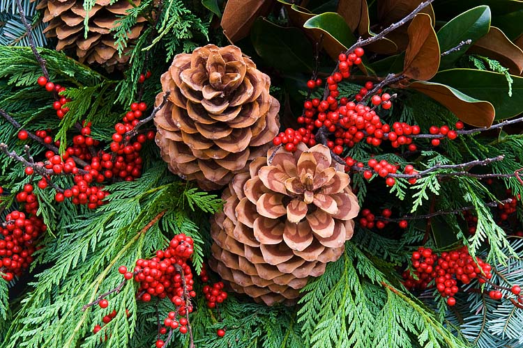 Traditional Holiday Decorations