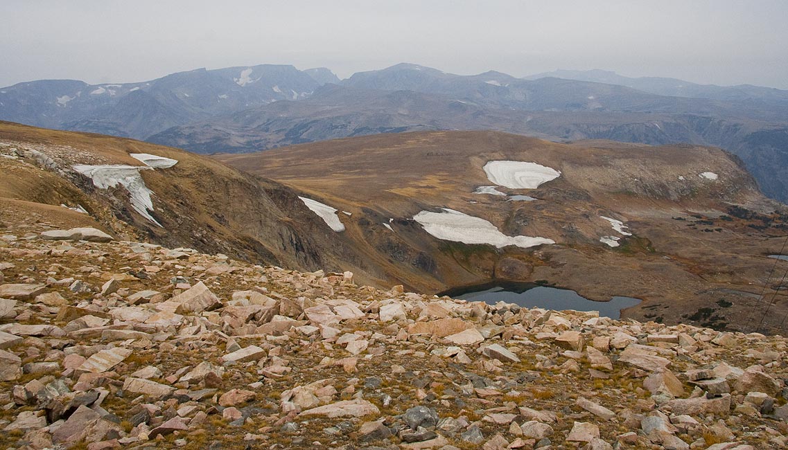 Up Above the Tree-Line