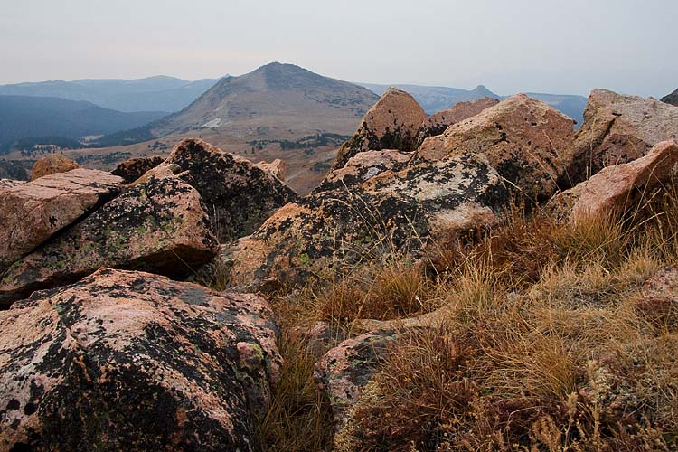 Grasses, Lichens, and Pink Rocks