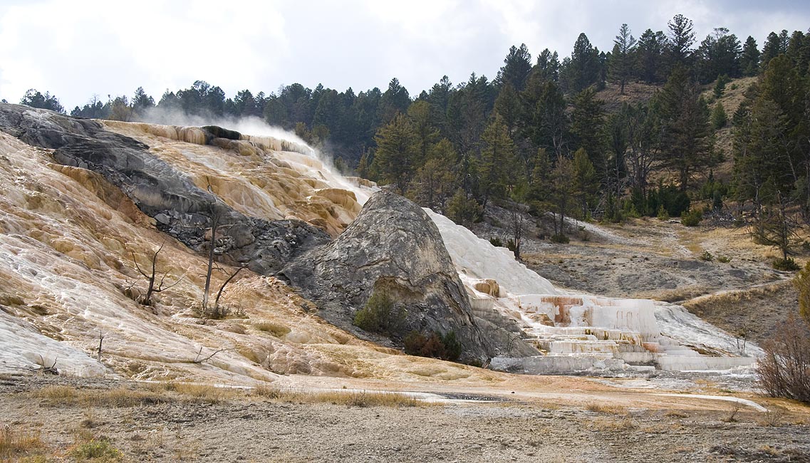 Mammoth Hot Springs