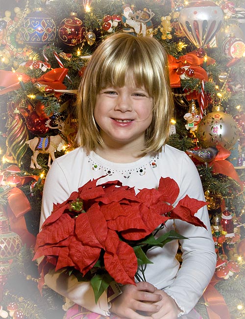 Rachel and the Poinsettias