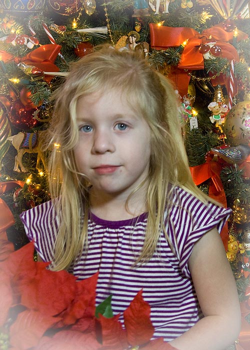 Natalya's Christmas Portrait