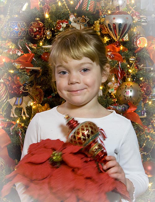Teagan and the Poinsettias