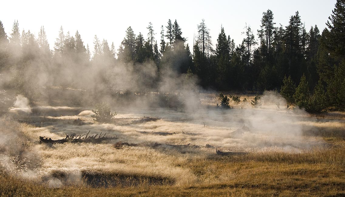 Warm Steam on a Frosty Morning