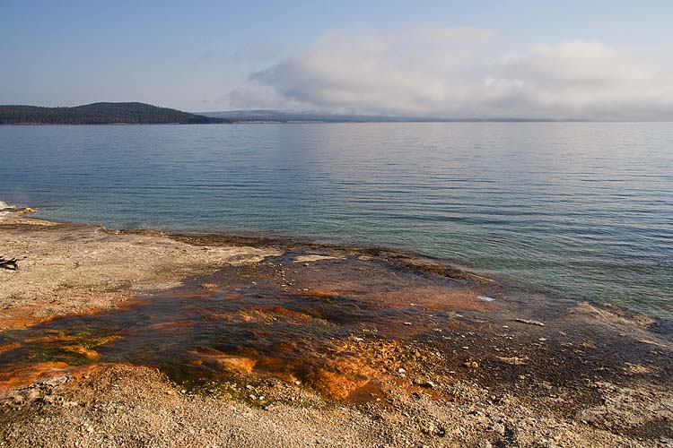 Hot Spring Flowing into Yellowstone Lake