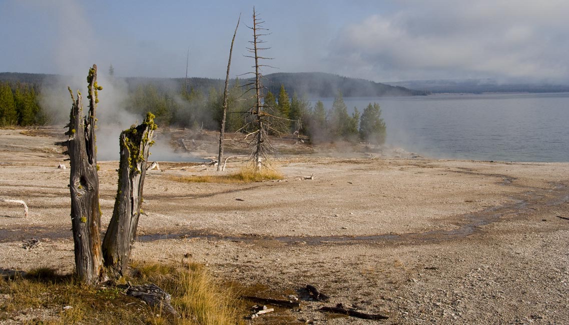 View Down Towards the Lake