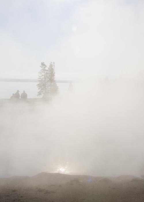 Walking Through the Steam