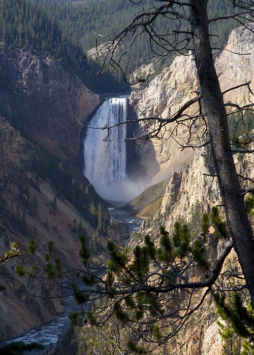 Lower Falls & Yellowstone River