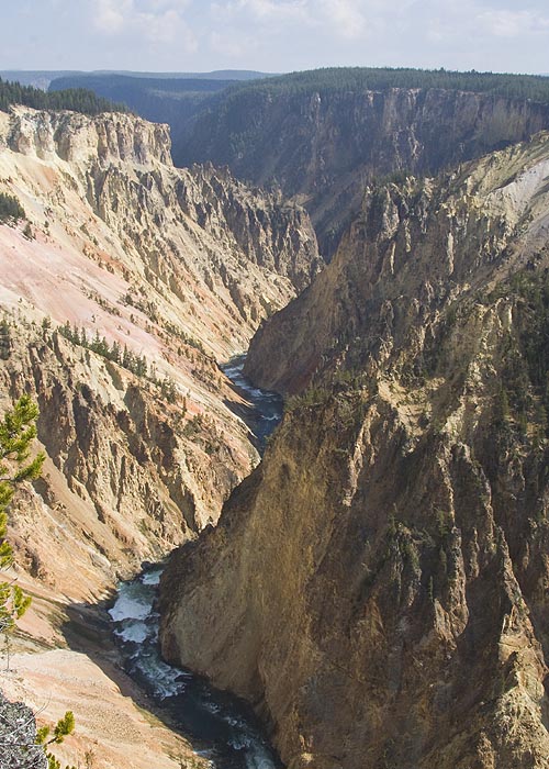 View of the Canyon from Grandview Point