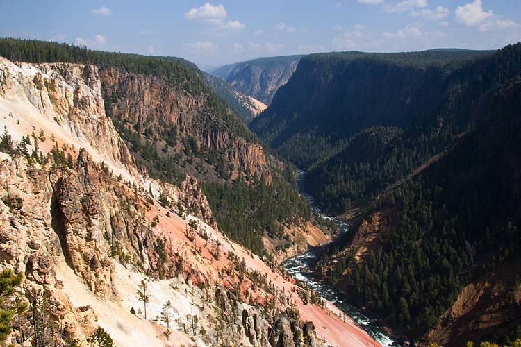 Wider View of the Canyon