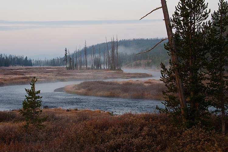 Lewis River at Dawn