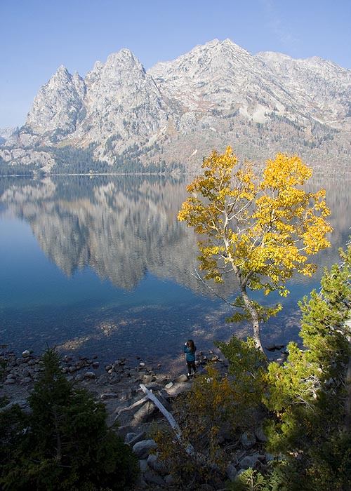 Going Down to the Shore of Jenny Lake
